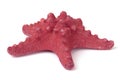 Red Starfish Royalty Free Stock Photo