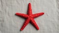 Red starfish Asteroidea with five arms displayed on a textured light Royalty Free Stock Photo