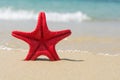Red starfish on the beach Royalty Free Stock Photo