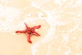 Red starfish is on a beach sand close up. Starfish is in the sea waves. Sea concept. Background horizontal format. Space for text Royalty Free Stock Photo