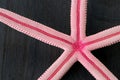 Red starfish Royalty Free Stock Photo