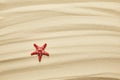 Red starfish on golden sandy beach