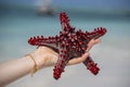 Red starfish in a hand of girl with white shore Sand and ocean with boat on the background in Zanzibar, Tanzania