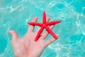 Red starfish in human hand floating Royalty Free Stock Photo