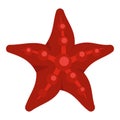 Red starfish icon isolated Royalty Free Stock Photo