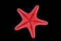 Red starfish isolated on black Royalty Free Stock Photo