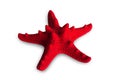 Red starfish Royalty Free Stock Photo