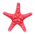 Red starfish isolated on white background Royalty Free Stock Photo