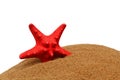 A red starfish lies on the sand. Travel and vacation theme. Royalty Free Stock Photo