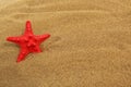 A red starfish lies on the sand. Travel and vacation theme. Royalty Free Stock Photo