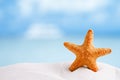 Red starfish with ocean, beach, sky and seascape Royalty Free Stock Photo