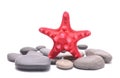 Red Starfish over group of stones on white background Royalty Free Stock Photo