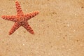 Red starfish over yellow sand Royalty Free Stock Photo
