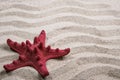 Red starfish on sand background Royalty Free Stock Photo