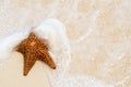 Red starfish on a sand beach Royalty Free Stock Photo
