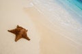 Red starfish on a sand beach Royalty Free Stock Photo
