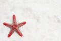 Red starfish on sandy beach