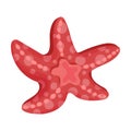 Red Starfish or Sea Star with Five Arms as Marine Animal Vector Illustration Royalty Free Stock Photo