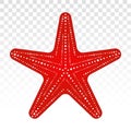 Red starfish / sea stars flat icon for apps and websites