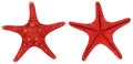 Red starfish set. Isolated on a white background. In the front and in the back Royalty Free Stock Photo