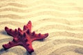 Red starfish on the wave's sand background Royalty Free Stock Photo