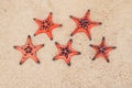 Red starfish on white sand on sunny tropical beach. five-star hotel by the sea concept Royalty Free Stock Photo