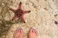 Red starfish and woman feet in sea water. Seaside with white sand. Royalty Free Stock Photo