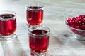 Red stemware shot alcoholic cold cocktail with cranberries raspberries lemon and mint. Selective focus, copy space