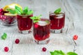 Red stemware shot alcoholic cold cocktail with cranberries raspberries lemon and mint. Selective focus, copy space