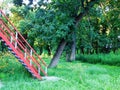 Red steps in green vegetation Royalty Free Stock Photo