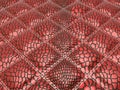 Red stitched Alligator skin with rectangles