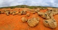 Red stone desert Royalty Free Stock Photo