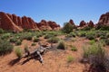 Red stone desert scene with rock formations and dead tree Royalty Free Stock Photo