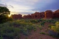 Red stone desert scene with rock formations and yellow flowers Royalty Free Stock Photo