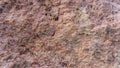 Red Stone texture background Filipowice Tuff Royalty Free Stock Photo