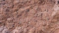 Red Stone texture background Filipowice Tuff Royalty Free Stock Photo