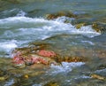 Red stone in a wild river