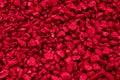 red stones background, macro shot on tapete Royalty Free Stock Photo