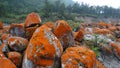 Red stones beach, Mount Gongga