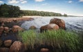 Red stones going bathe. Baltic shore with granite rocks and beach at background. Gulf of Finland Royalty Free Stock Photo