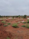 Red stoney soil with greenery