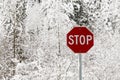 Red stop sign against snow covered trees Royalty Free Stock Photo