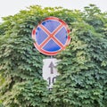 Red stop sign with trees Royalty Free Stock Photo
