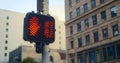 Red stopsignal hand up on crosswalk city close up. Regulation signal on pole