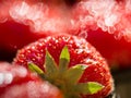 Red strawberries Royalty Free Stock Photo