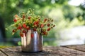 Red strawberries berry and white flowers in wild meadow, close up.Summer bunch of ripe berries view.Mix berries in mug on wood Royalty Free Stock Photo