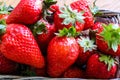 Red strawberries. Big berries in a basket Royalty Free Stock Photo