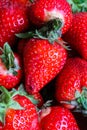 Red strawberries. Big berries in a basket Royalty Free Stock Photo