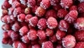 Red strawberries are densely packed in a clear plastic container. Each strawberry is covered with a layer of frost Royalty Free Stock Photo