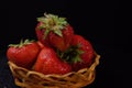 Red strawberries with drops in small basket on black background Royalty Free Stock Photo